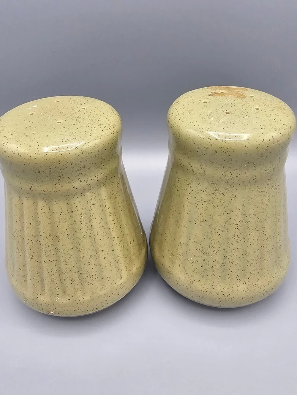 Vintage Ceramic Salt and Pepper Shakers Set